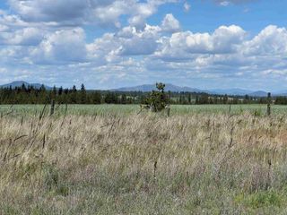XXX N Wood Rd, Reardan, WA 99029