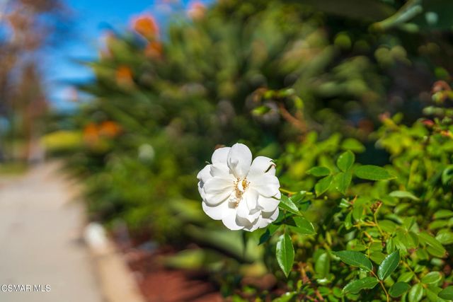 4524 Greengate Court, Westlake Village, CA 91361