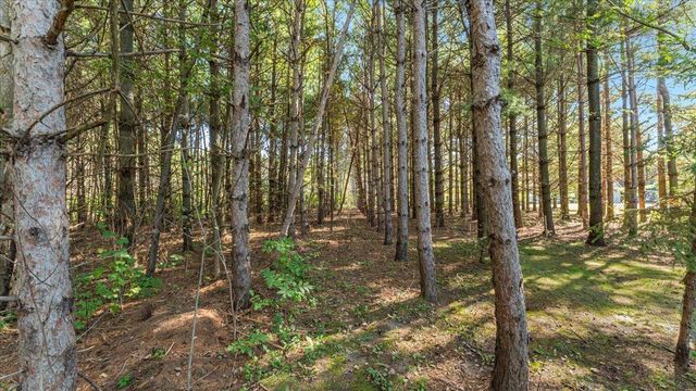 3411 Pawnee Drive SE, Alexandria, MN 56308