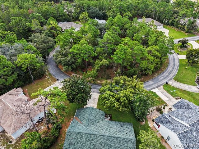 10 Colubrina Court, Homosassa, FL 34446