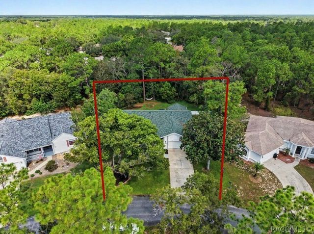 10 Colubrina Court, Homosassa, FL 34446