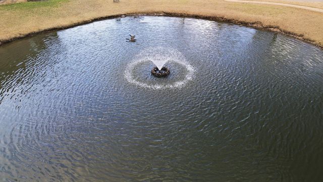 9945 OBAN DR, Cordova, TN 38016