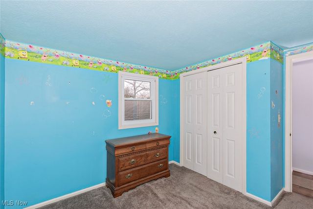 16860 Snyder Road, Chagrin Falls, OH 44023