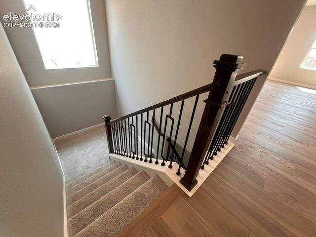 17528 Lucky Penny Lane, Monument, CO 80132