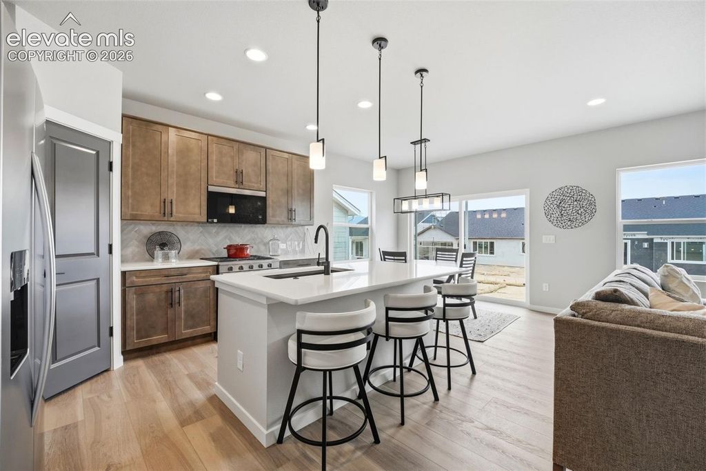 17528 Lucky Penny Lane, Monument, CO 80132 — photo 4