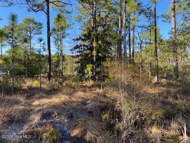 Lot 79 Sunset Drive, Southport, NC 28461
