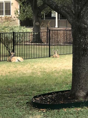 129 Dewberry DR, Georgetown, TX 78633