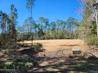 No Cherrywood Place, Gautier, MS 39553