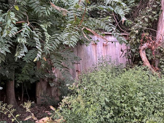 22229 Pike 118, Louisiana, MO 63353