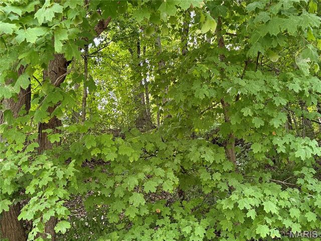 22229 Pike 118, Louisiana, MO 63353