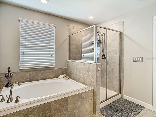 28642 TRANQUIL LAKE CIRCLE, Wesley Chapel, FL 33543