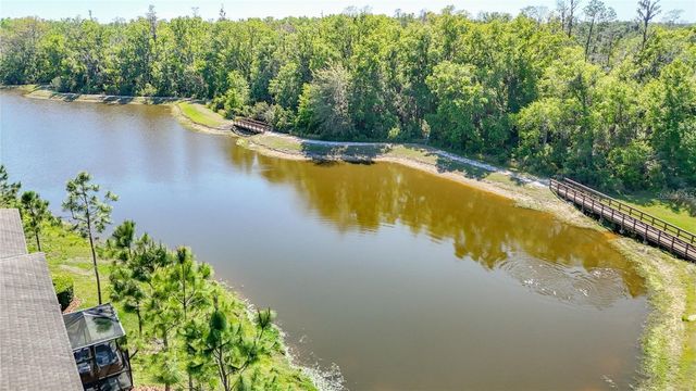 28642 TRANQUIL LAKE CIRCLE, Wesley Chapel, FL 33543