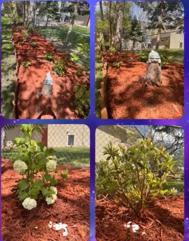 8893 Griggs Avenue, Circle Pines, MN 55014