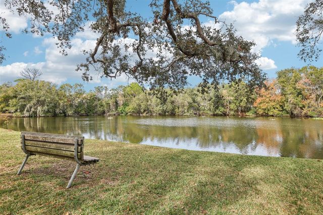 456 THANINGTON CLOSE, Palm Harbor, FL 34683