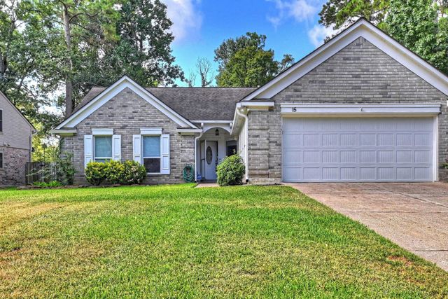 15 White Bark, The Woodlands, TX 77381