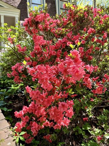 356 N WALNUT BEND RD, Memphis, TN 38018