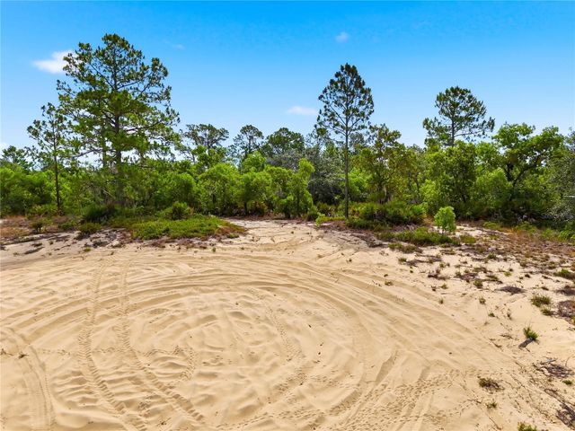 LEMON DRIVE, Lake Wales, FL 33898