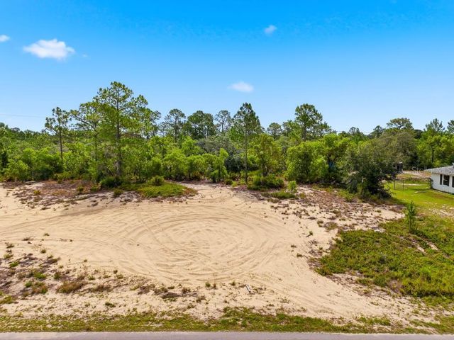 LEMON DRIVE, Lake Wales, FL 33898
