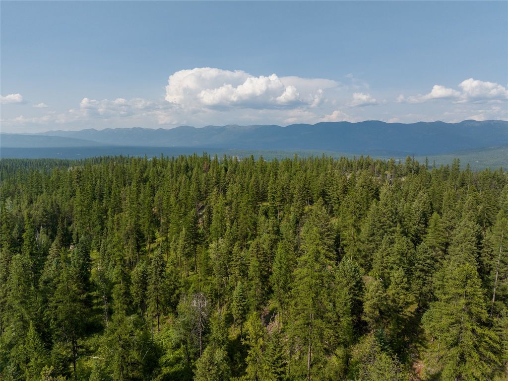 2290 Mountain Home Road, Whitefish, MT 59937 photo 10