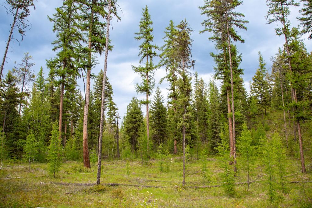 2290 Mountain Home Road, Whitefish, MT 59937 photo 2