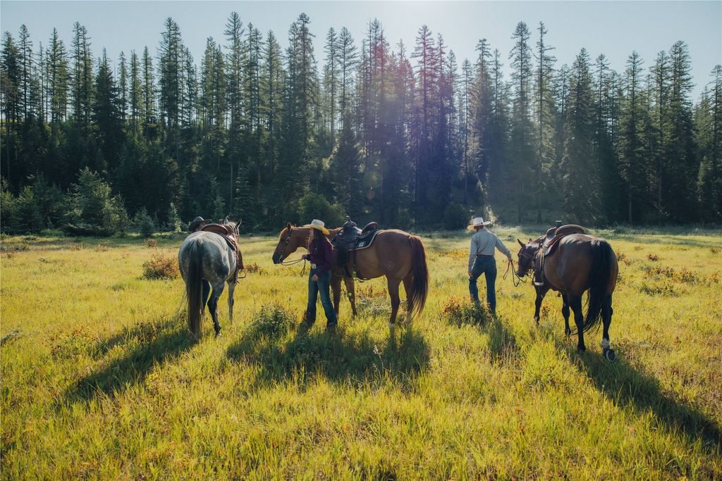 2290 Mountain Home Road, Whitefish, MT 59937 photo 29