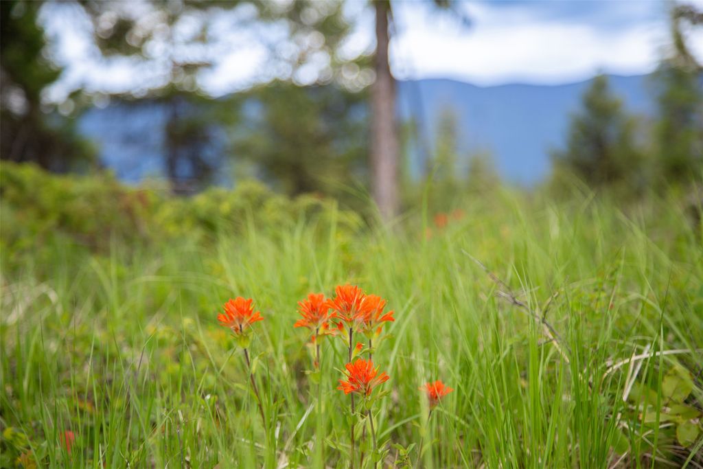 2290 Mountain Home Road, Whitefish, MT 59937 photo 49