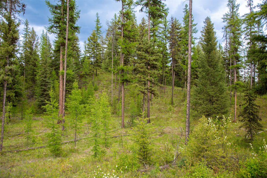 2290 Mountain Home Road, Whitefish, MT 59937 photo 50