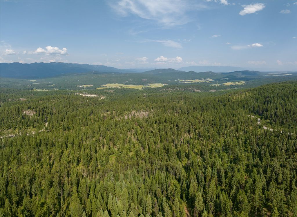 2290 Mountain Home Road, Whitefish, MT 59937 photo 8