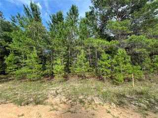 TBD NEISMAN, Interlachen, FL 32148