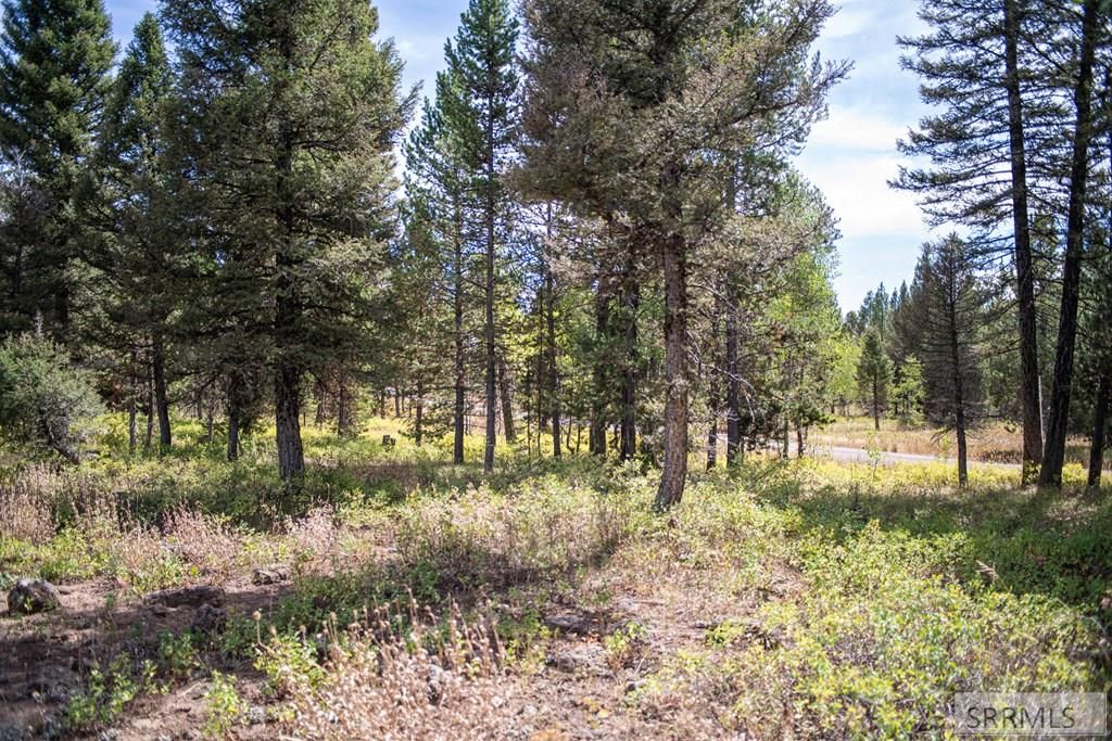 Image 26 of property listing at 2819 NE Sagehen Dr, Island Park, ID 83429