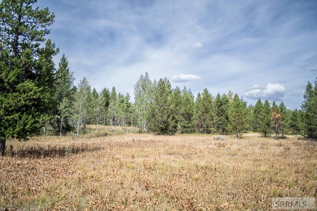 Image 27 of property listing at 2819 NE Sagehen Dr, Island Park, ID 83429