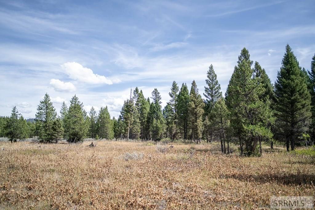 Image 28 of property listing at 2819 NE Sagehen Dr, Island Park, ID 83429