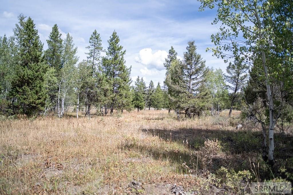 Image 29 of property listing at 2819 NE Sagehen Dr, Island Park, ID 83429