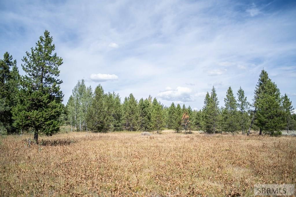 Image 30 of property listing at 2819 NE Sagehen Dr, Island Park, ID 83429