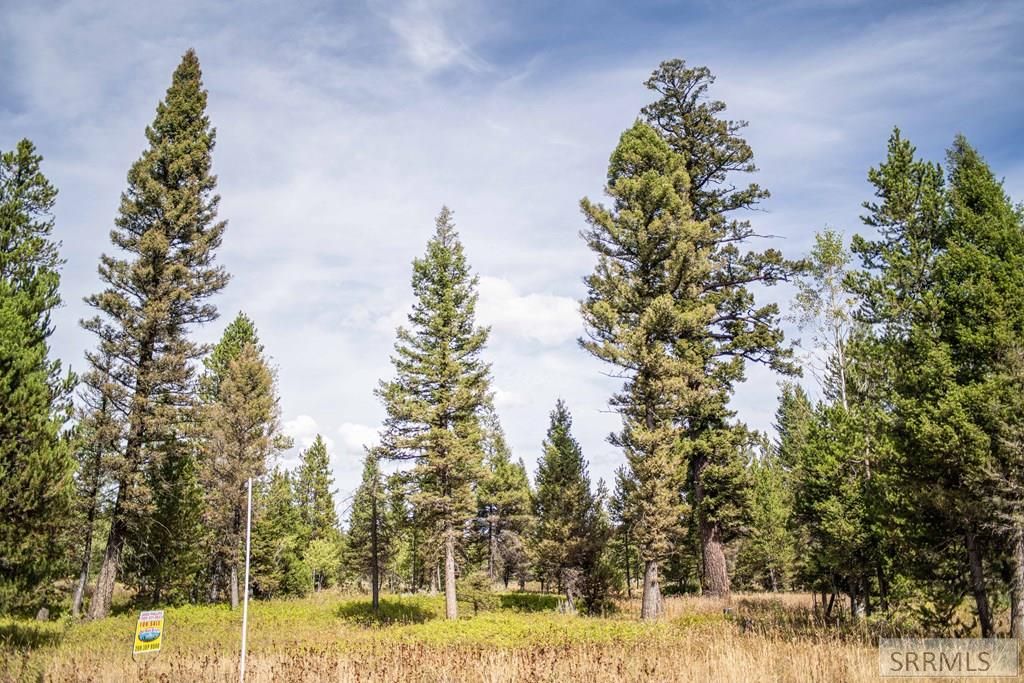 Image 32 of property listing at 2819 NE Sagehen Dr, Island Park, ID 83429