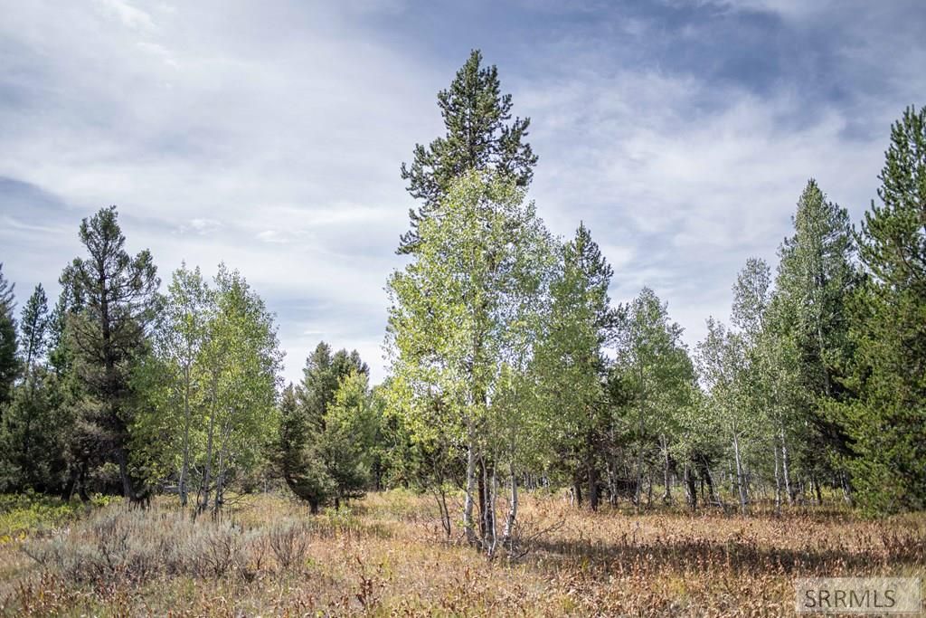 Image 33 of property listing at 2819 NE Sagehen Dr, Island Park, ID 83429