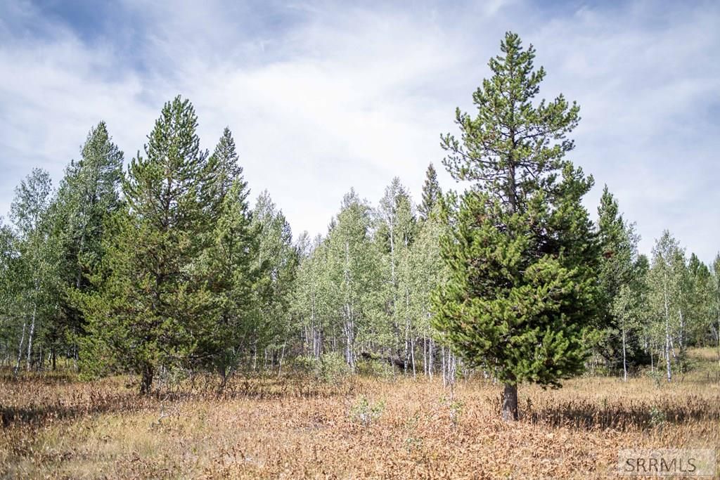 Image 34 of property listing at 2819 NE Sagehen Dr, Island Park, ID 83429