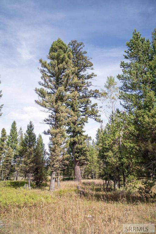 Image 35 of property listing at 2819 NE Sagehen Dr, Island Park, ID 83429