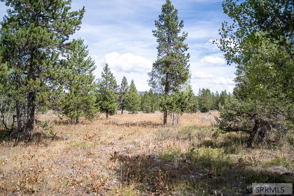 Image 38 of property listing at 2819 NE Sagehen Dr, Island Park, ID 83429