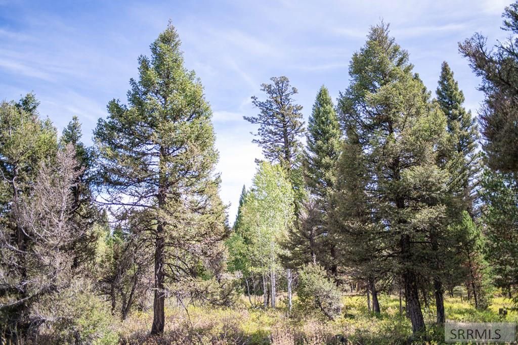 Image 40 of property listing at 2819 NE Sagehen Dr, Island Park, ID 83429