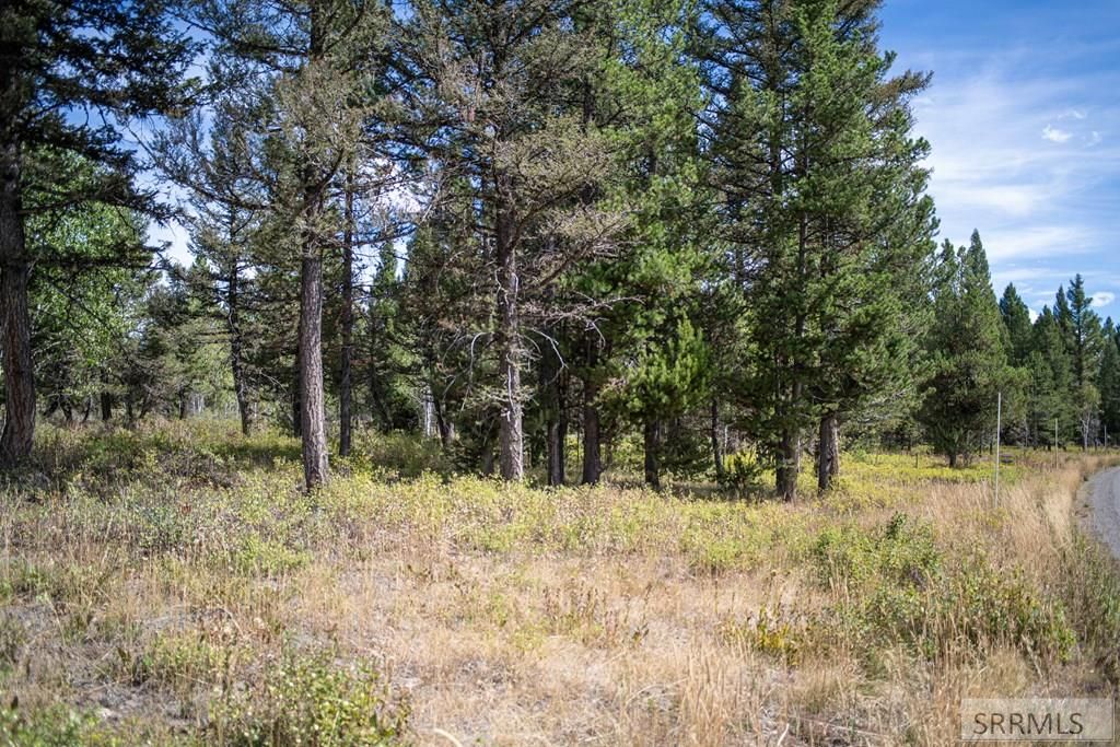 Image 41 of property listing at 2819 NE Sagehen Dr, Island Park, ID 83429