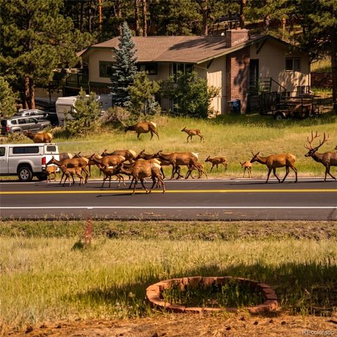 28653 Meadow Drive, Evergreen, CO 80439