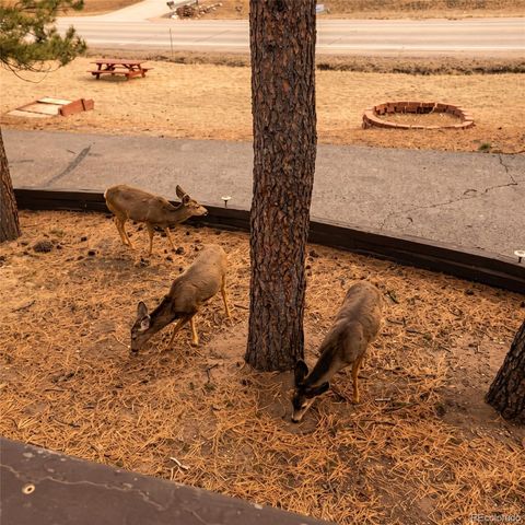 28653 Meadow Drive, Evergreen, CO 80439