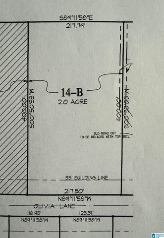 OLIVIA LANE, Woodstock, AL 35188