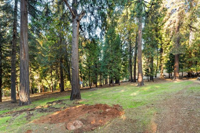 5819 Lynx Trl, Pollock Pines, CA 95726