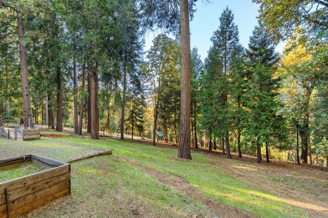 5819 Lynx Trl, Pollock Pines, CA 95726