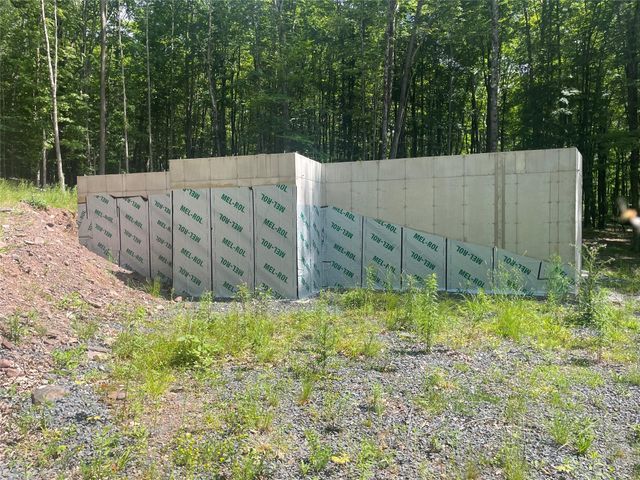 TBD Boulder Brook Lot 11 Road, Windham, NY 12496