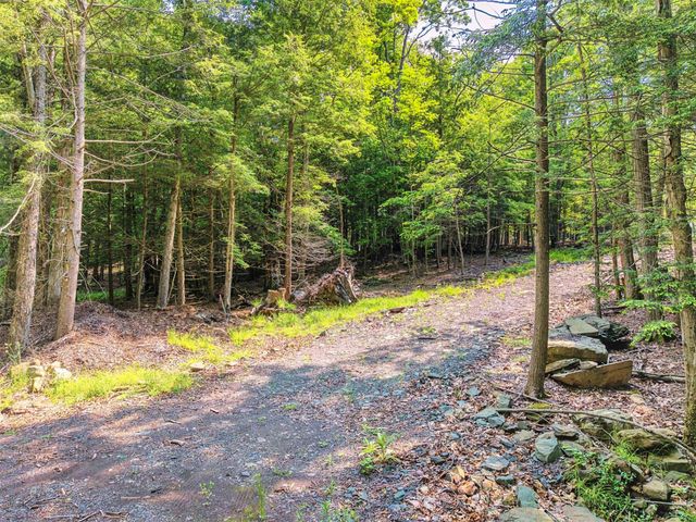 TBD Boulder Brook Lot 11 Road, Windham, NY 12496