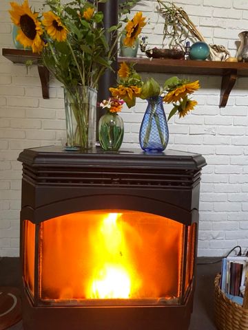 6111 W Longbridge Road, Pentwater, MI 49449