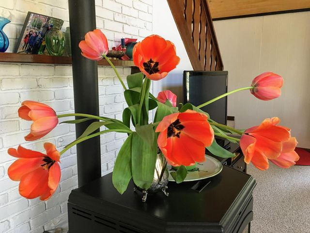 6111 W Longbridge Road, Pentwater, MI 49449